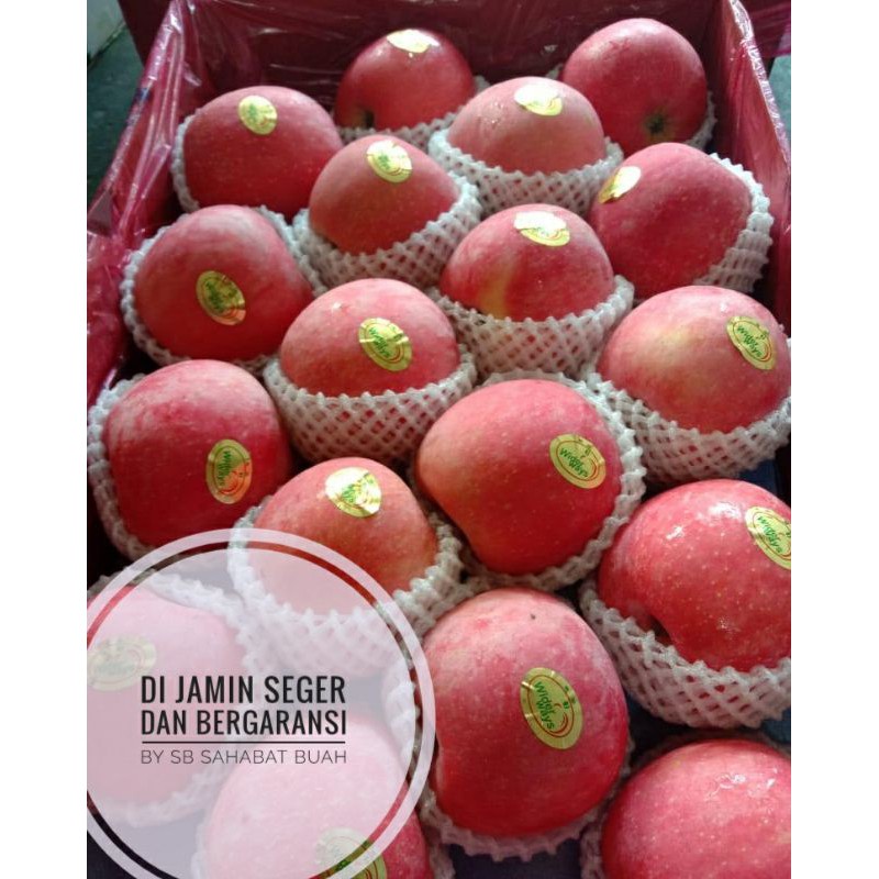 

BUAH APEL FUJI PREMIUM / FUJI BLUSH 1KG