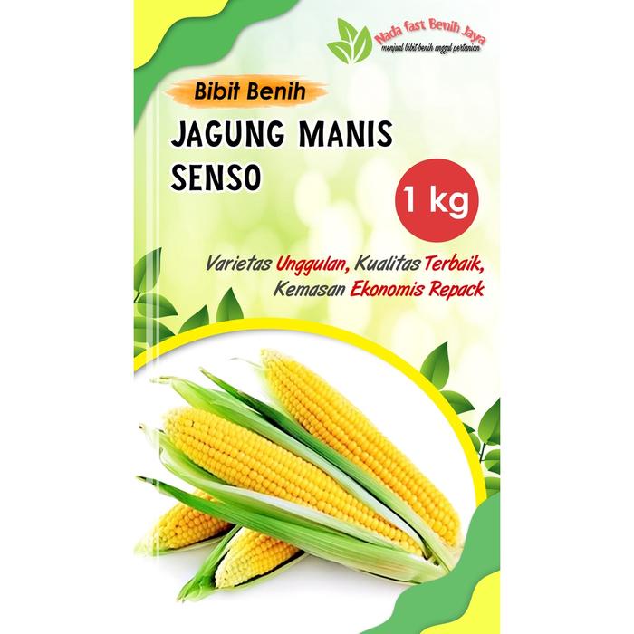 Sale Terbatas 1 Kg Benih Jagung Manis Senso / Bibit Jagung Manis Tanaman Aman