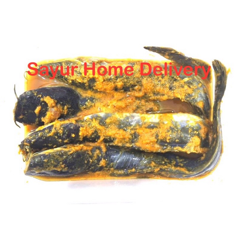 

SayurHD Ikan Lele Bumbu Kuning Siap Goreng 1 Kotak