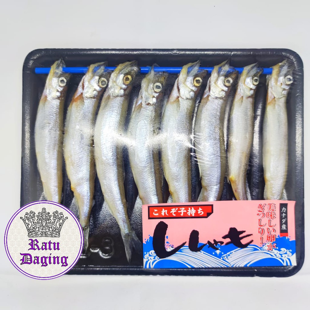 

Shisamo Fish / Ikan Capelin 200gr - Jaminan Gendut" & Telurnya Banyak