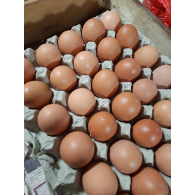

telur ayam negri 1 kg