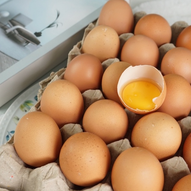 

Telur Ayam Negeri PREMIUM - 30 pcs GRADE A Fresh Bersih Kualitas Terbaik