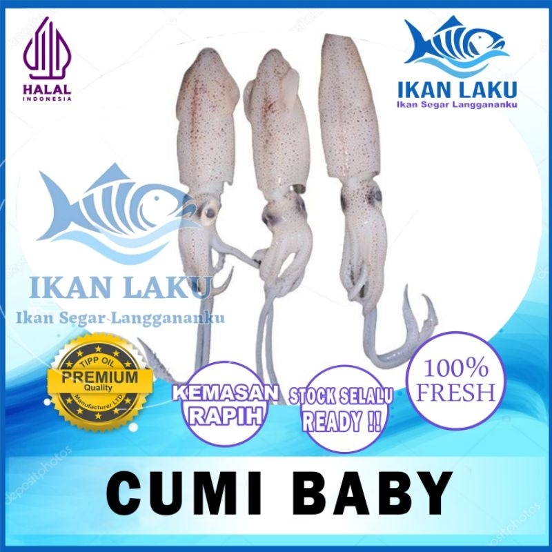 

CUMI SERO BABY JUMBO PREMIUM FRESH TERMURAH BERGARANSI IKAN LAKU IKAN SEGAR IKAN BEKU