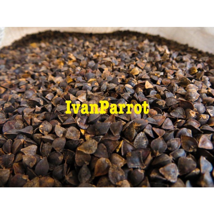 

BLACK BUCKWHEAT BIJI BIJIAN BURUNG 1KG