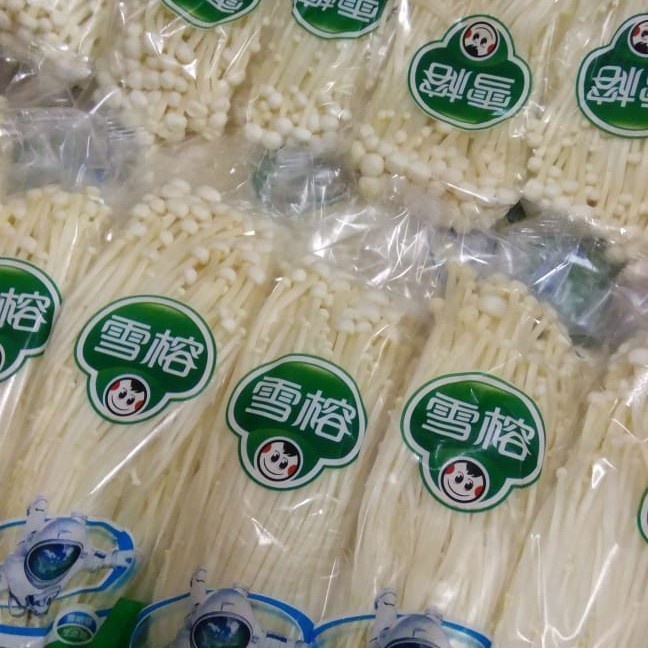 

Lola Jamur Enoki Mushroom 1 Dus 50 Pack