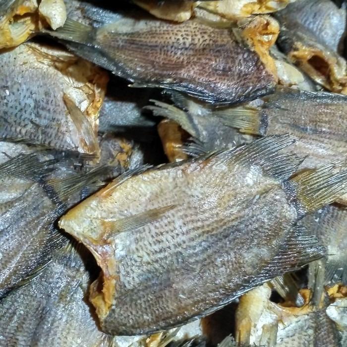 

Ikan Asin Sepat 100-500 Gram Kemasan Vakum Kering