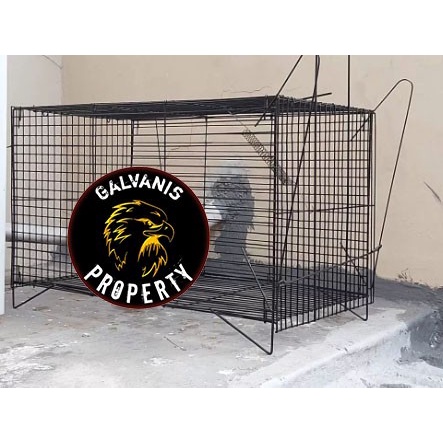 jebakan musang / perangkap / garangan / kucing hutan / biawak murah