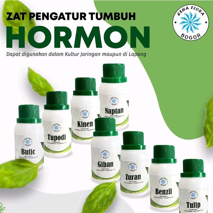 Hormon 2,4 D TUPODI Auksin Kultur Jaringan Esha Flora Murni Pro Analis