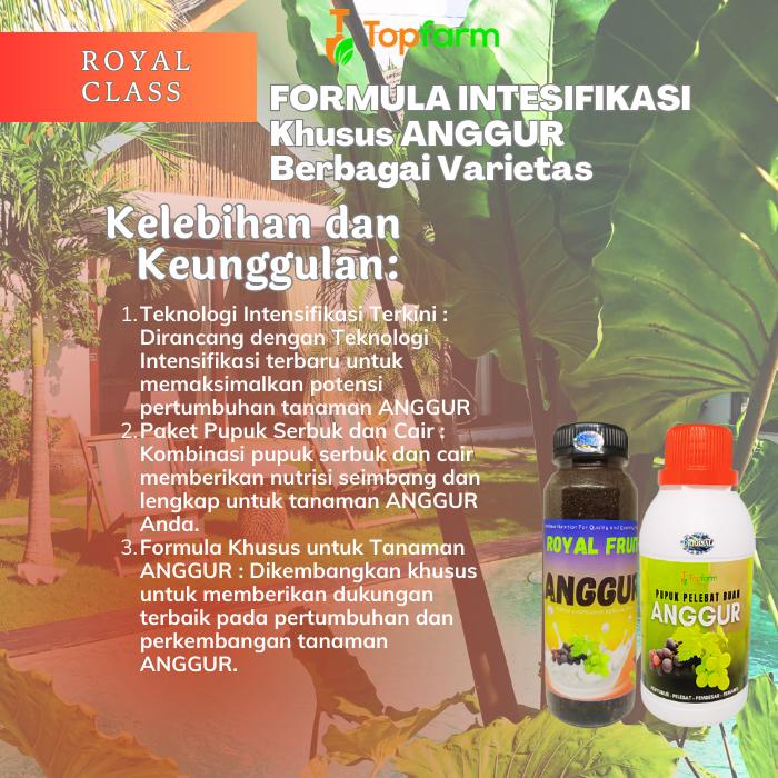 Pupuk Anggur / Pupuk Anggur Berbuah Lebat / Pupuk Serbuk Tanaman Anggur / Pupuk Cair Penyubur Dan