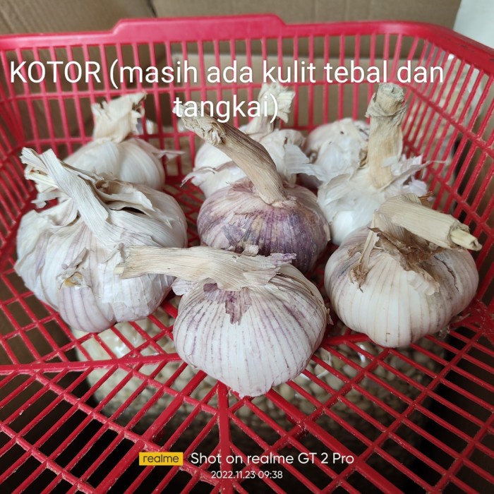 

Bawang Putih Honam Banci Kotor 20kg
