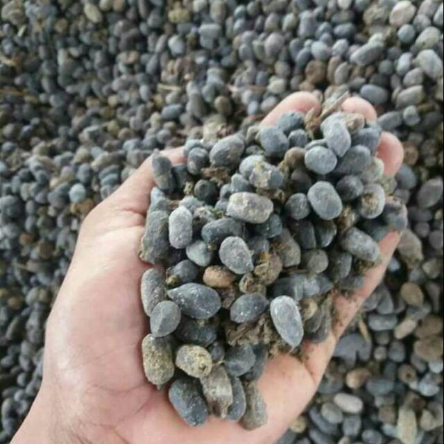 Pupuk Kandang Kambing Kasar Khusus Gosend (Geek Farmer)