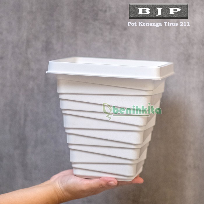 Pot Tanaman-Bunga Kenanga Tirus 211- Putih (Bjp)