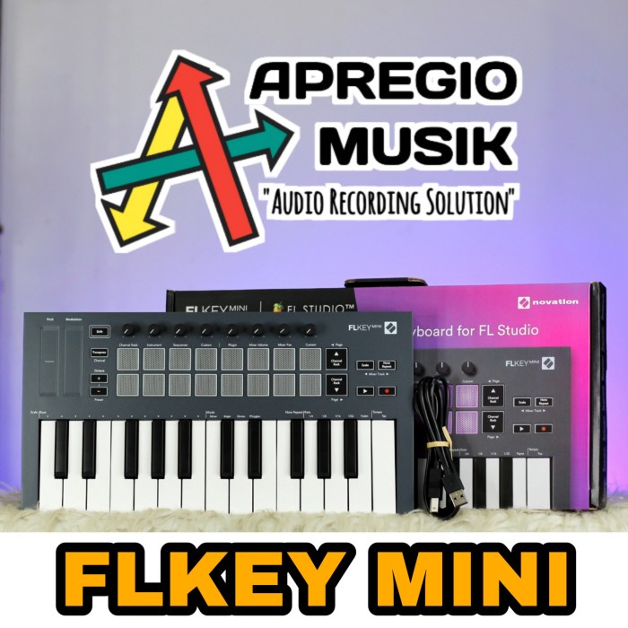 Novation FLKEY FL KEY Mini USB MIDI Controller Apregio Musik