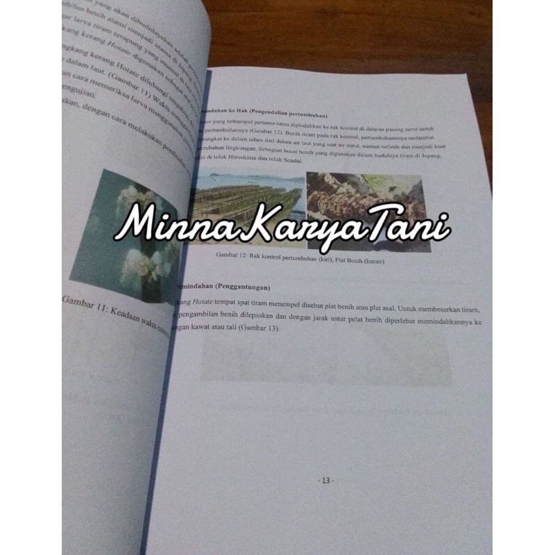 

{{ Buku SSW Aquaculture Budidaya Perikanan Jepang Ujian Tokutei Ginou Ready}}