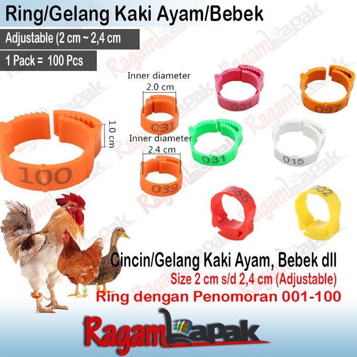 Adjustable Cincin Kaki Ayam gelang kaki Bebek Gelang Kaki Ayam (100 Pcs)