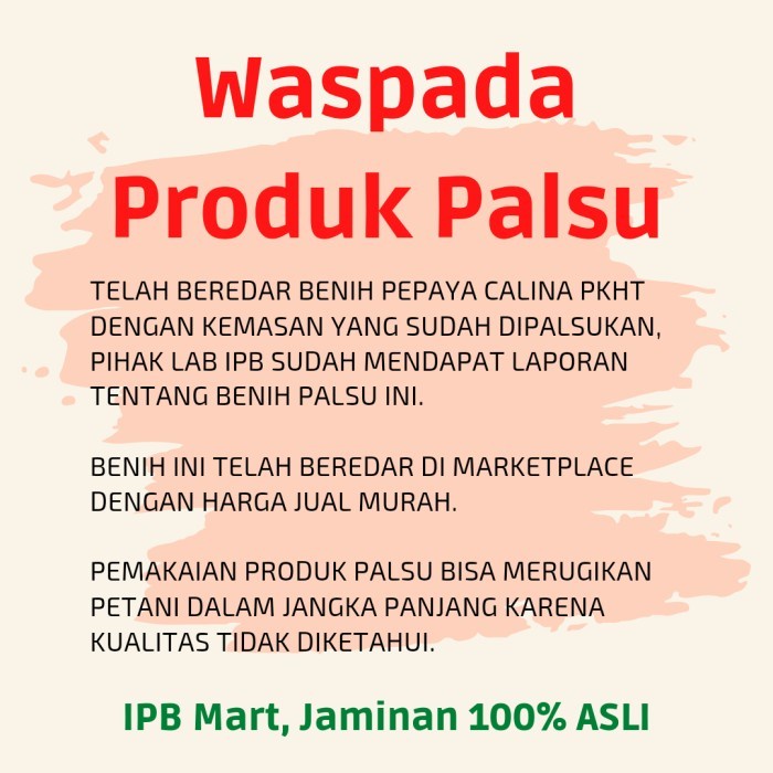 (BestSeller) Benih Pepaya Calina PKHT IPB 9 (California) Callina