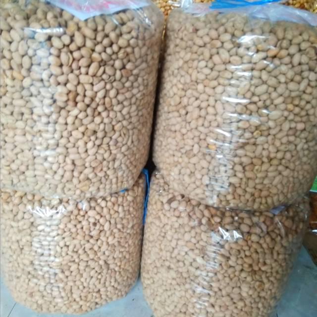 

Kacang Bogares Kacang Asin Kiloan 1000 Gram