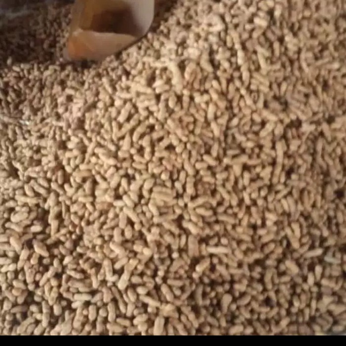 

(BestSeller) kacang kulit sangrai 1kg