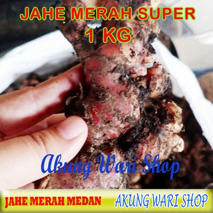 

Jahe Merah Medan / ukuran besar