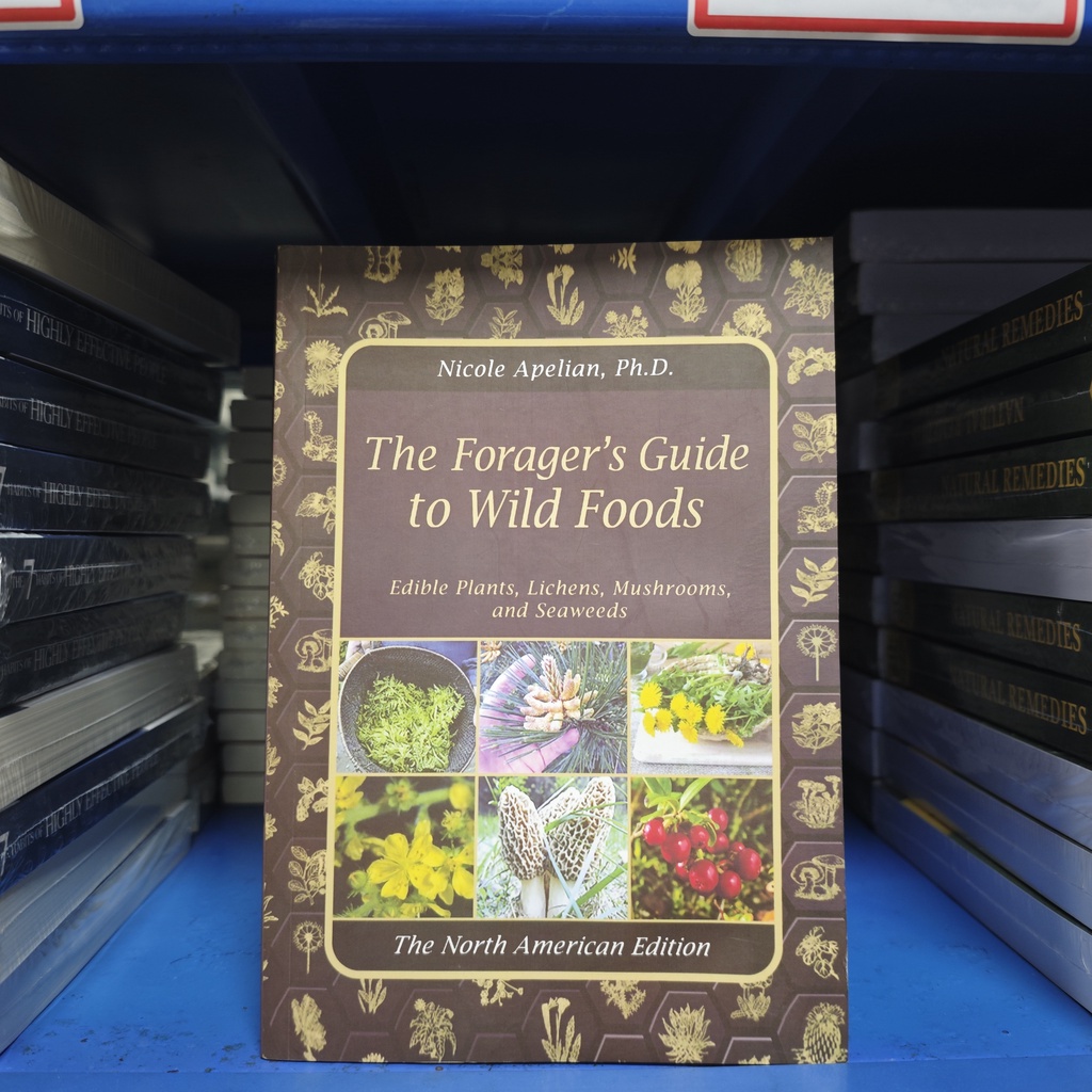 The Foragers Guide To Wild Foods Guide Book To Wild Foods A Foragers Guide To Identifying Wild Foods