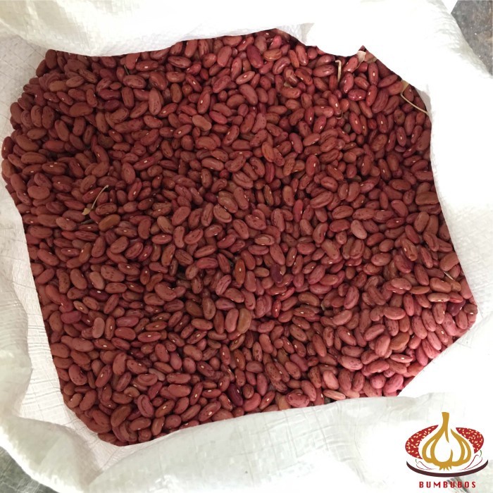 

Kacang Merah Jogo 1 Sak Karung Ball 25 kg Reguler