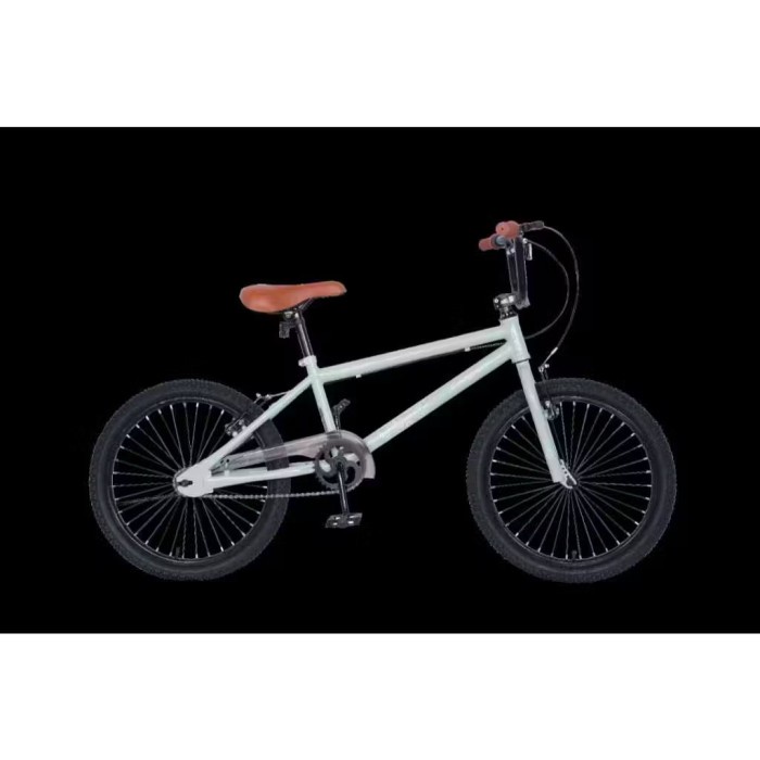 Sepeda Anak BMX 20 Evergreen Murah