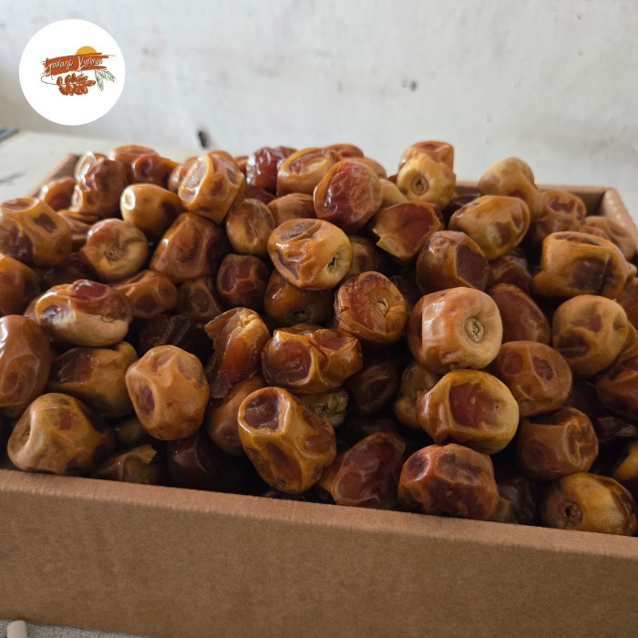 

Kurma Sukari Al Qassim 3 Kg Kering