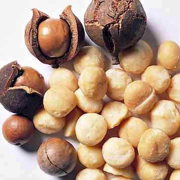 

A Macadamia Kulit Roasted 500Gram - Kacang Yang Ngeselin Free Alat Pembukanya