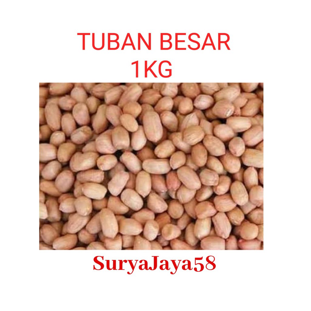 

A Kacang Tanah Tuban Besar (8Mm-9Mm) Kualitas Super 1Kg - Suryajaya58