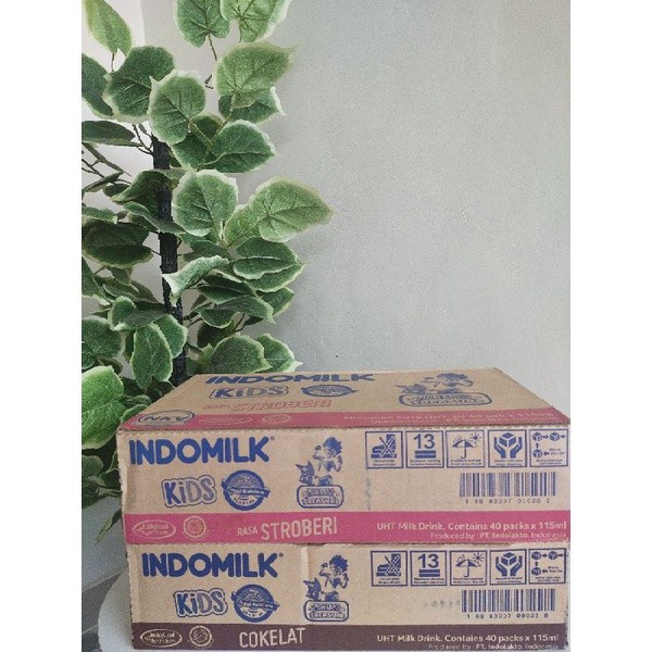 

(TopSeller) SUSU INDOMILK KIDS 115ml