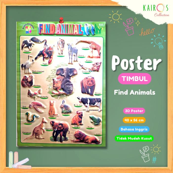 

Poster Dinding Edukasi Anak Timbul Aneka Motif Random Belajar Sekolah
