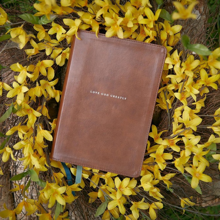 

Love God Greatly Bible: A SOAP Method Study Bible for Women (NET, Brown Leathersoft, Comfort Print)