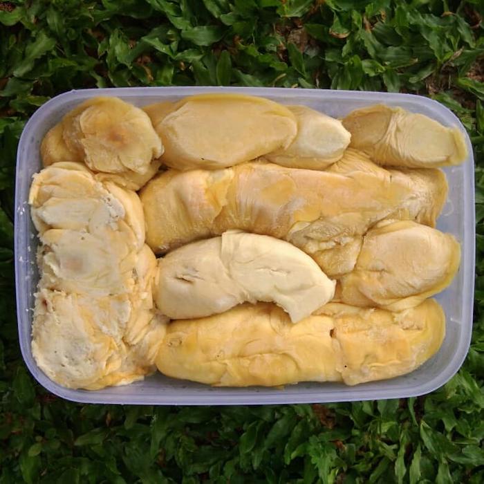 

Lezat- durian kupas kuning tembaga