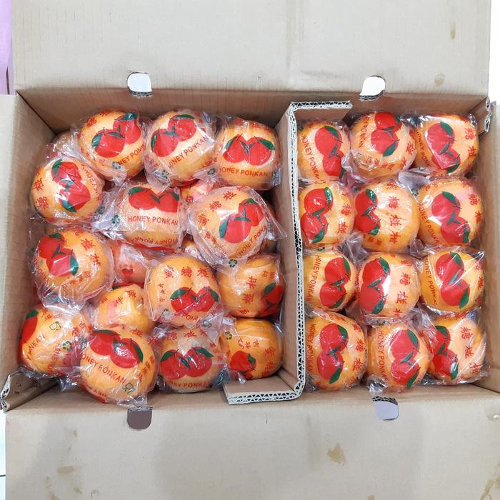 

Lezat- PROMO TERMURAH 1 dus Jeruk Honey Ponkam MANIS Buah Mandarin