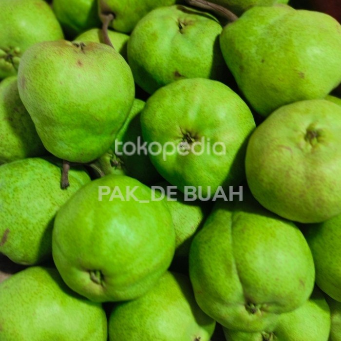 

Lezat- PEAR PACKHAM / PEAR IJO / MANIS FRESH & SEGAR ( 1 kg )