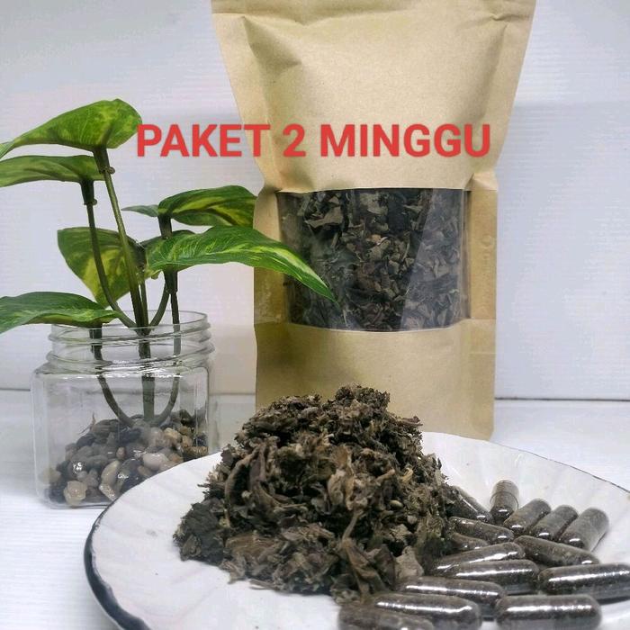 

Paket Teh Fistula ani & Biji2an (untuk 2 minggu)