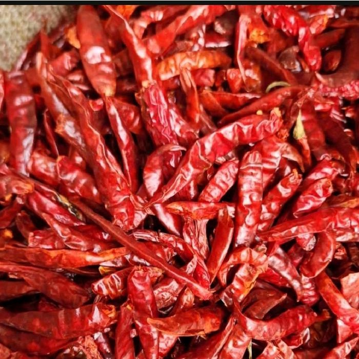 

Lezat- MURAH 1KG CABE RAWIT TEJA SETAN KERING KUAKITAS SUPER PEDAS