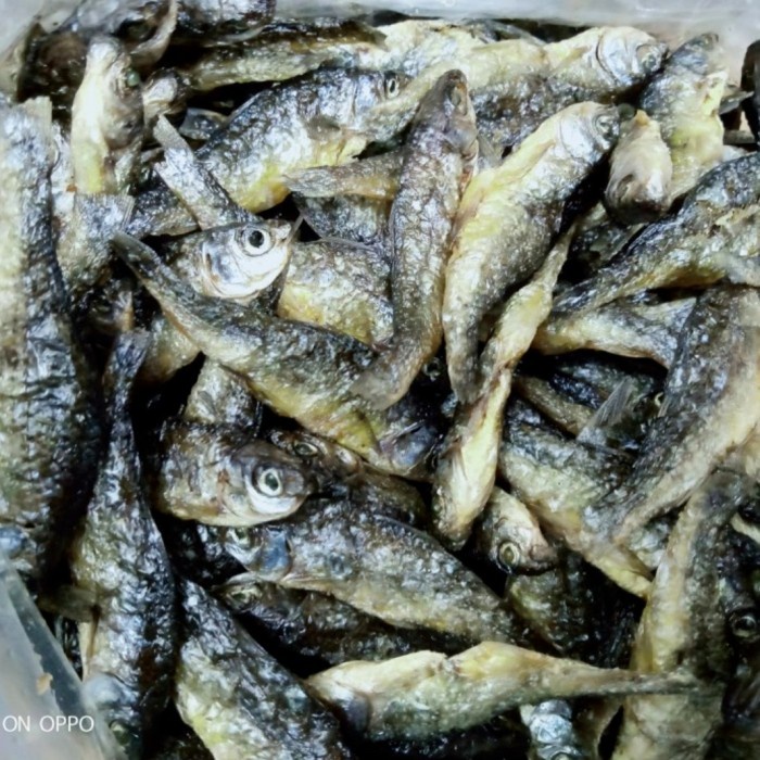 

IKAN BILIH PADANG / BILIS SINGKARAK (250 GRAM)