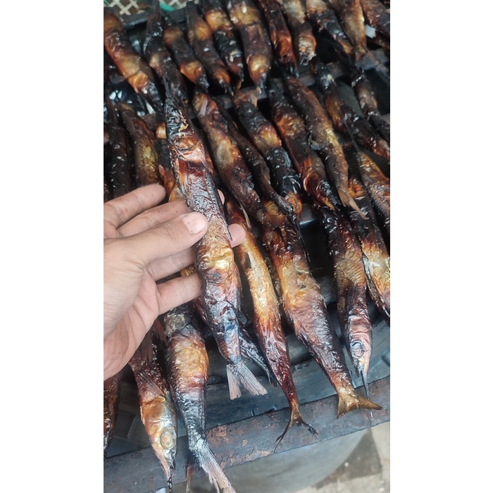 ikan roa / ikan roa asap / ikan roa utuh 1 gepe / roa asap