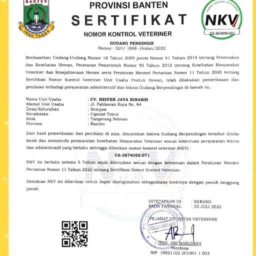 

Lezat- Daging Fillet Paha Ayam FROZENT/ Benelless paha ayam FROZENT