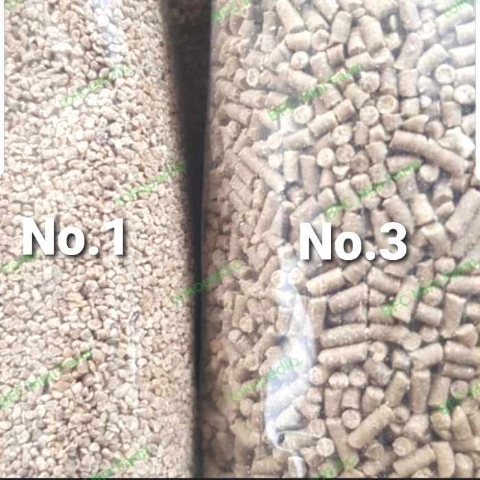 Pakan/Pelet Lobster Air Tawar BFC Mini Farm