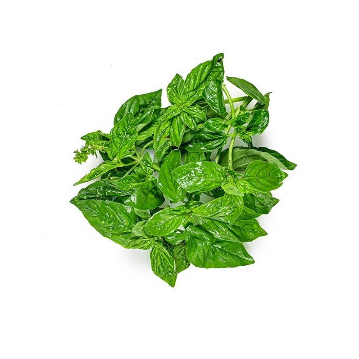 

Daun Kemangi Segar Kiosayur