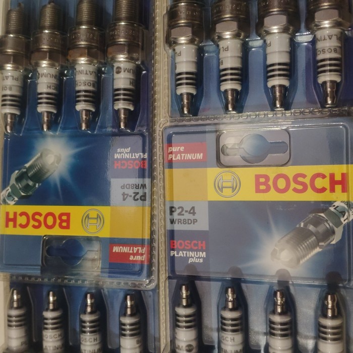 Busi Bosch platinum plus wr8dp