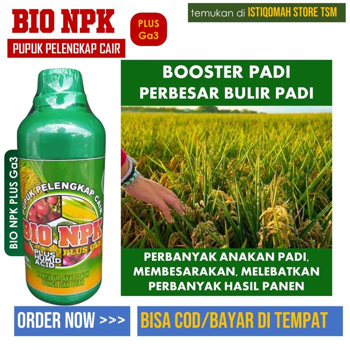 siapkirim- Pupuk Pelebat Buah Untuk Padi NPK GAZA 500 ML - Pupuk Padi Semprot Penyubur Tanaman Padi