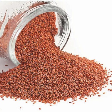 

Garden Cress Seed - Biji Selasih Merah - Obat Sakit Lutut & Diabetes
