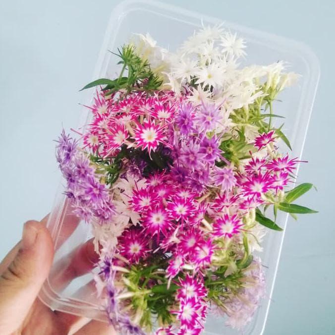 

Mix edible flower