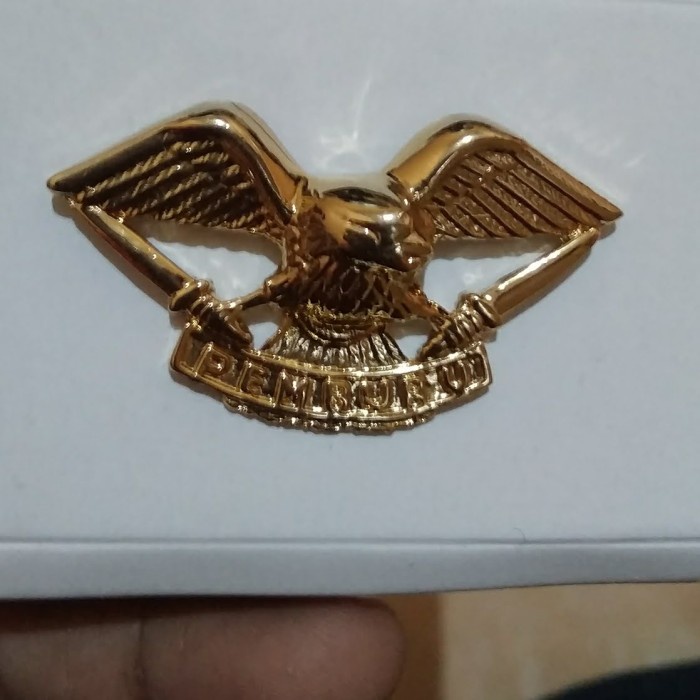 Modrico- brevet wings pin pemburu