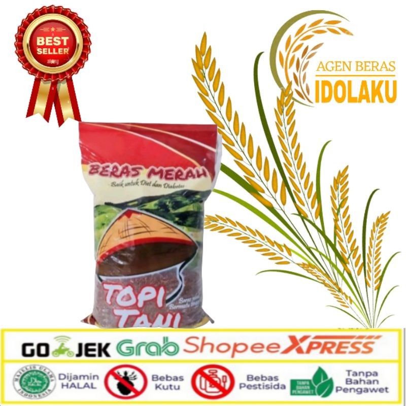 

Cargo Bera Merah Organi 5 G
