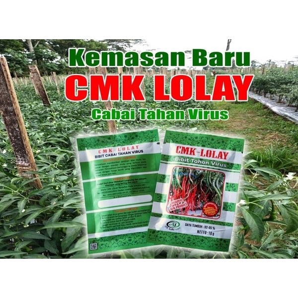 Promo Bibit Cabe Lolay 10 Gram - Benih Cabe Merah Keriting Lolay - Cmk Lolay Berkualitas