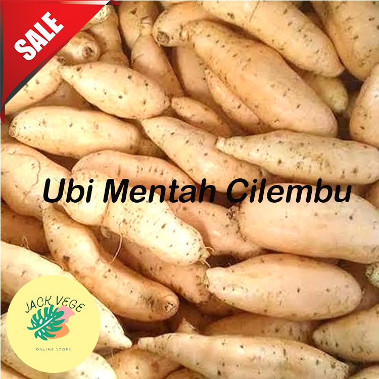 

FRESH Ubi Mentah Cilembu Fresh 1 KG Murah